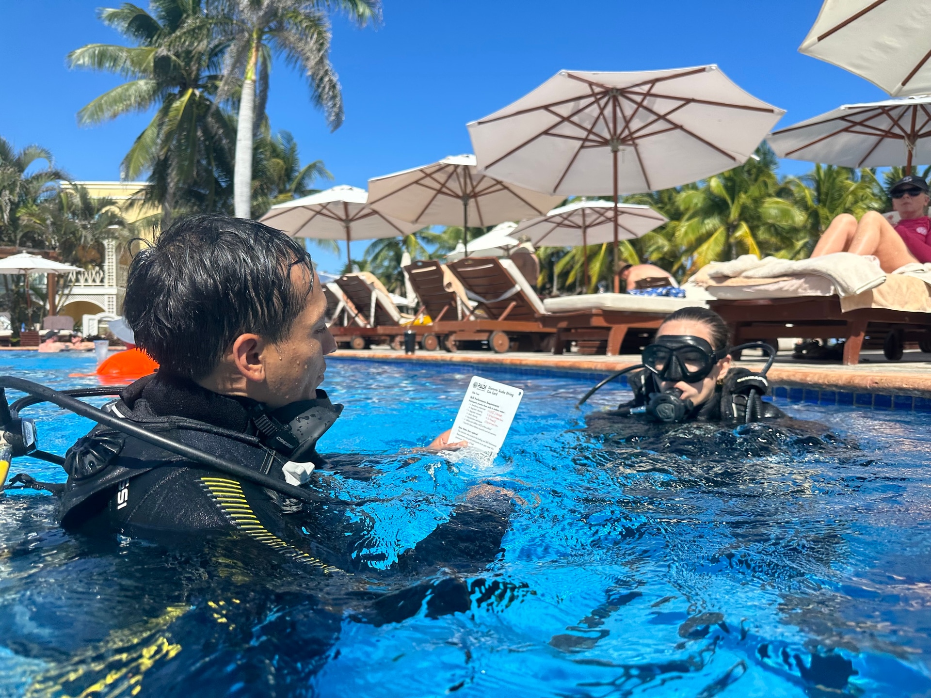 Dive Center Mexiko: Unvergessliche Unterwasserwelt in Cozumel entdecken