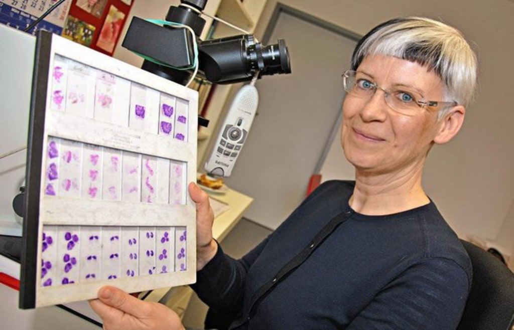 Physiotherapeut Potsdam: Wiederherstellung der Bewegungsfähigkeit