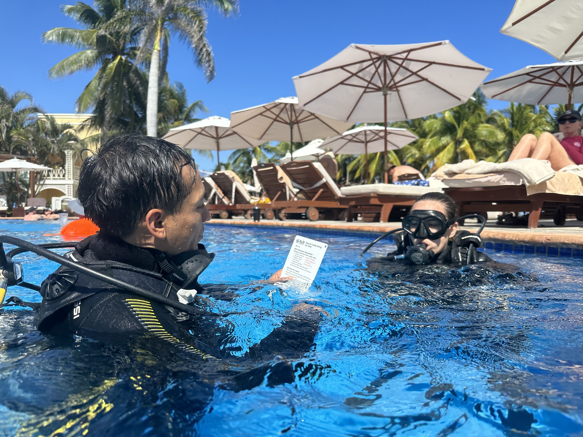 Dive Center Mexiko: Unvergessliche Unterwasserwelt in Cozumel entdecken